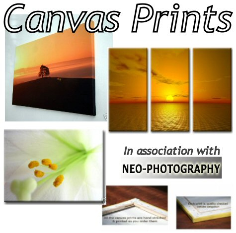 Canvas+prints+online